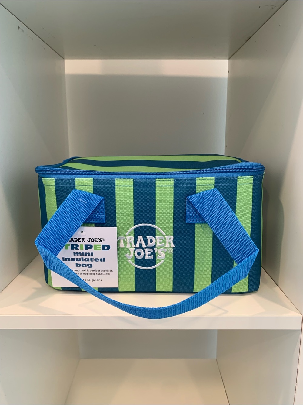 NWT-TRENDY- Trader Joe's Mini Insulated Bag - Summer 2026. Sold out in the store